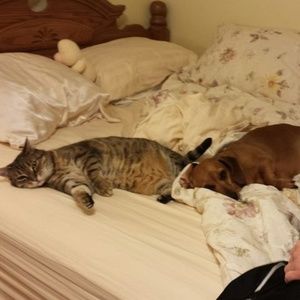 Meet your Posher, Karen